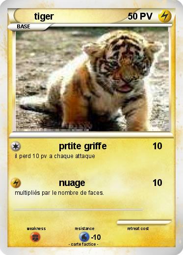 Pokemon tiger
