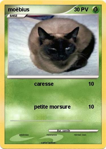 Pokemon moëbius