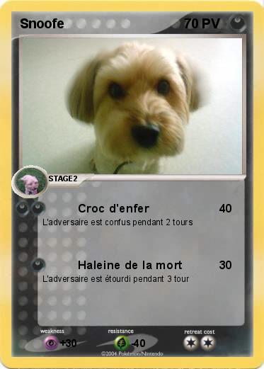 Pokemon Snoofe
