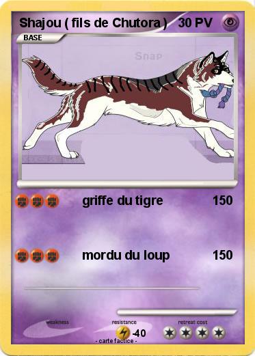 Pokemon Shajou ( fils de Chutora )