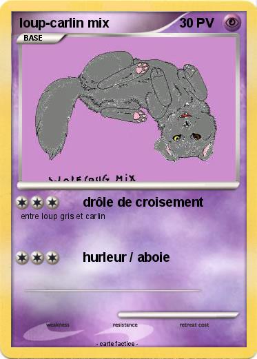 Pokemon loup-carlin mix