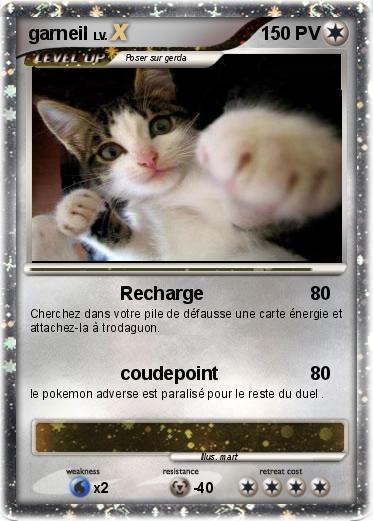 Pokemon garneil