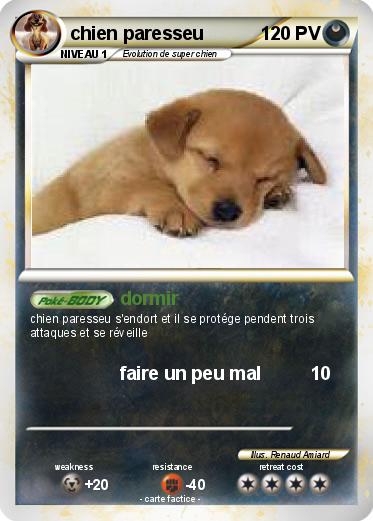 Pokemon chien paresseu