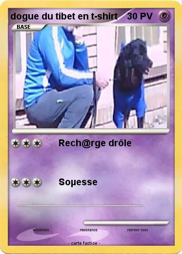 Pokemon dogue du tibet en t-shirt