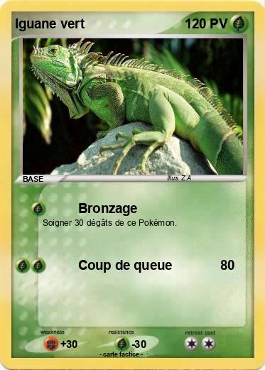 Pokemon Iguane vert