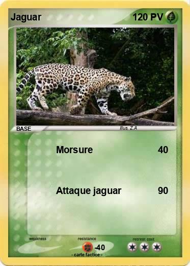 Pokemon Jaguar