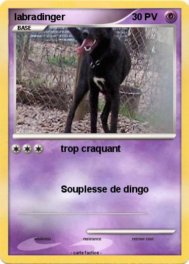 Pokemon labradinger