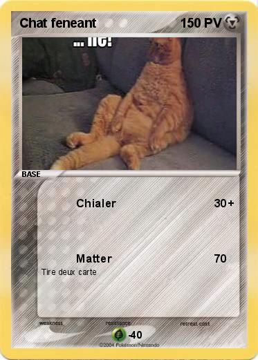 Pokemon Chat feneant