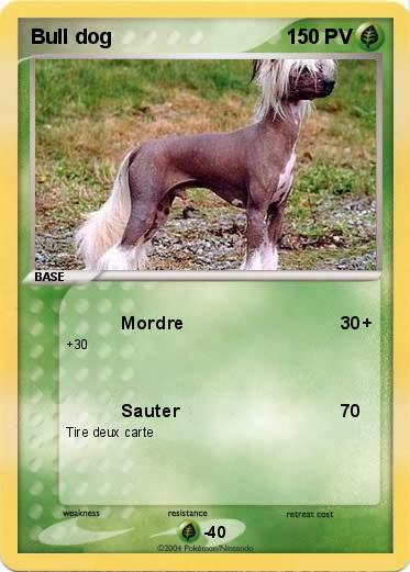 Pokemon Bull dog