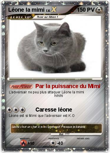 Pokemon Léone la mimi
