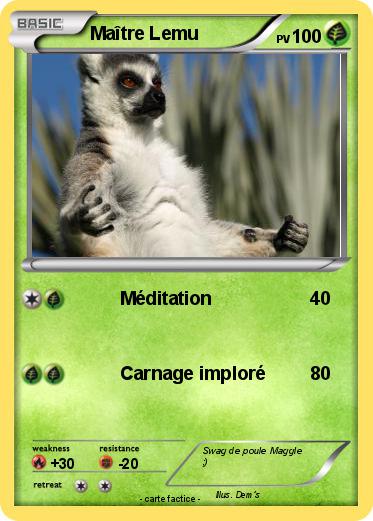Pokemon Maître Lemu