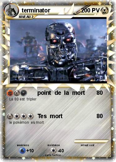 Pokemon terminator