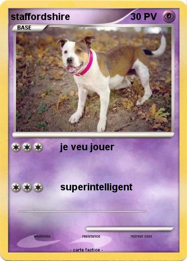 Pokemon staffordshire