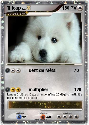 Pokemon Ti loup
