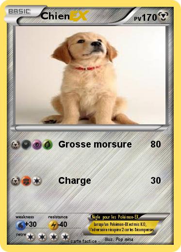 Pokemon Chien