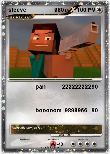 Pokemon steeve                   980