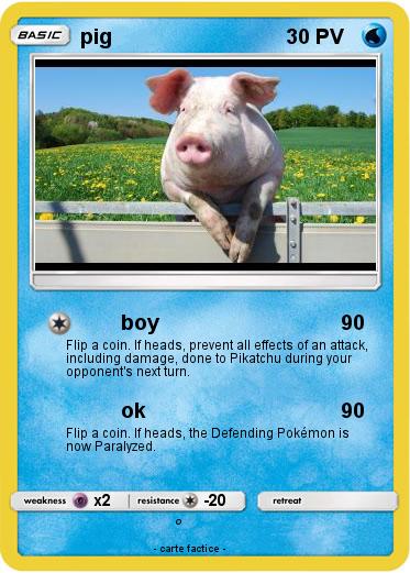 Pokemon pig