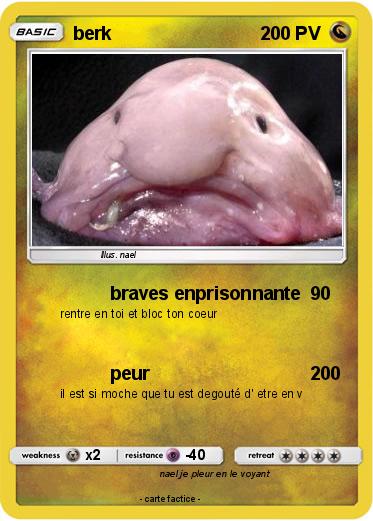 Pokemon berk