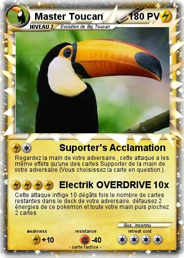 Pokemon Master Toucan