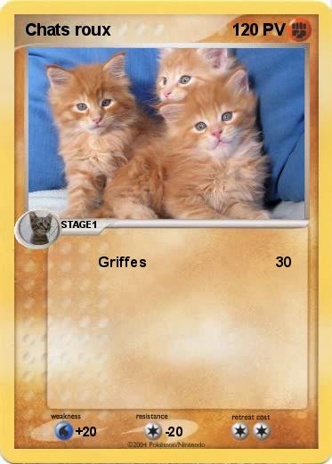 Pokemon Chats roux