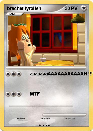 Pokemon brachet tyrolien