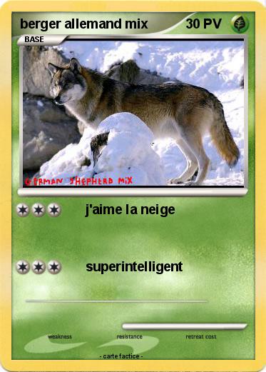 Pokemon berger allemand mix