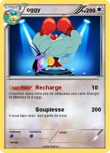 Pokemon oggy