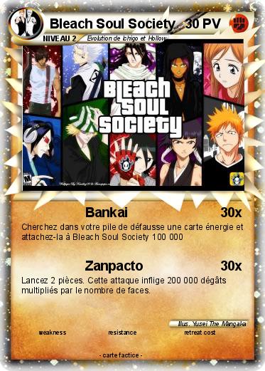 Pokemon Bleach Soul Society