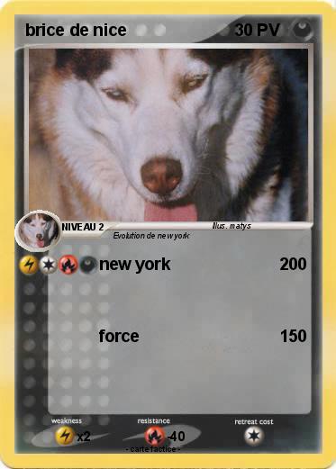 Pokemon brice de nice