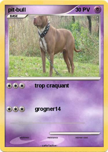 Pokemon pit-bull