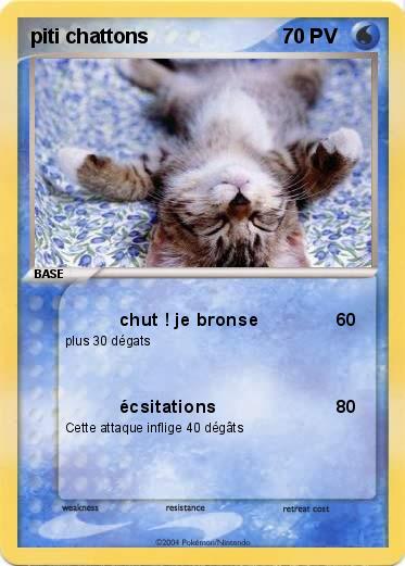 Pokemon piti chattons