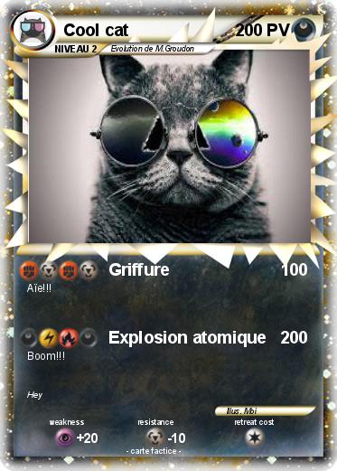 Pokemon Cool cat