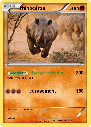 Pokemon rhinocéros
