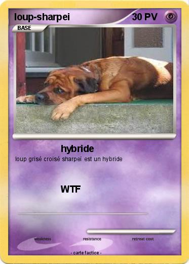 Pokemon loup-sharpei