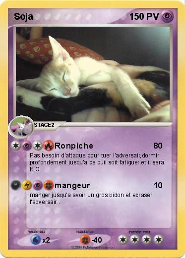 Pokemon Soja