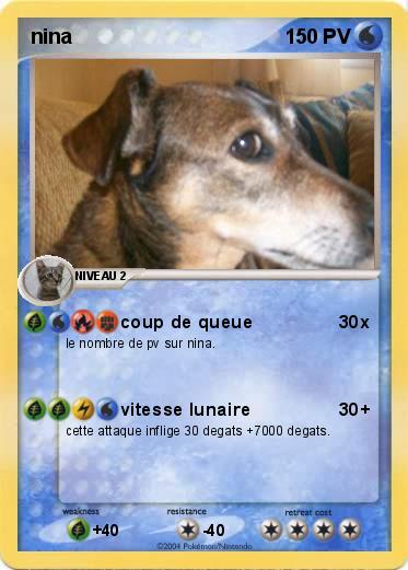Pokemon nina