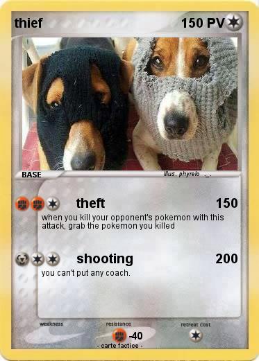Pokemon thief