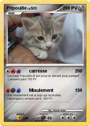 Pokemon Fripouille