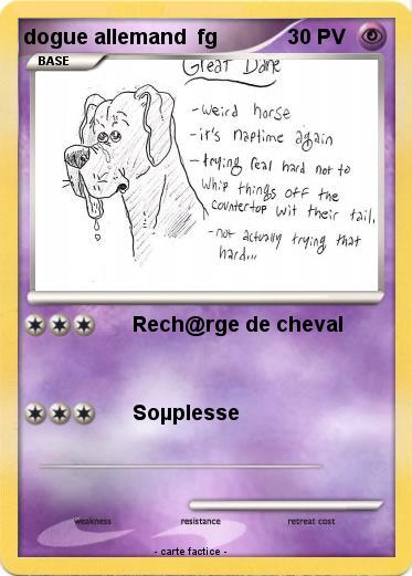 Pokemon dogue allemand  fg