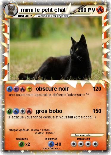 Pokemon mimi le petit chat