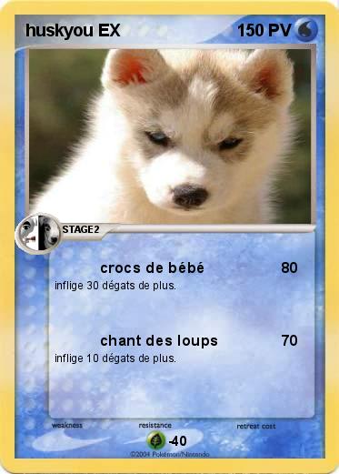 Pokemon huskyou EX