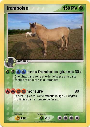 Pokemon framboise