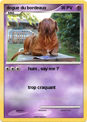 Pokemon dogue du bordeaux
