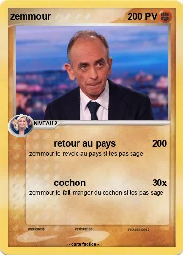 Pokemon zemmour