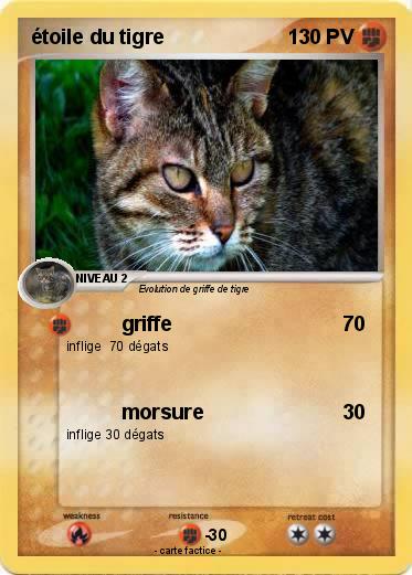 Pokemon étoile du tigre