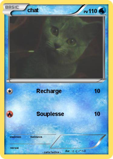 Pokemon chat