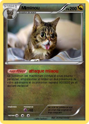 Pokemon Miminou
