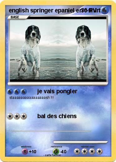 Pokemon english springer epaniel en t-shirt