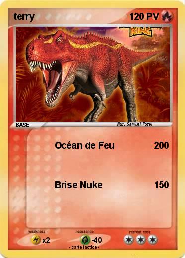 Pokemon terry