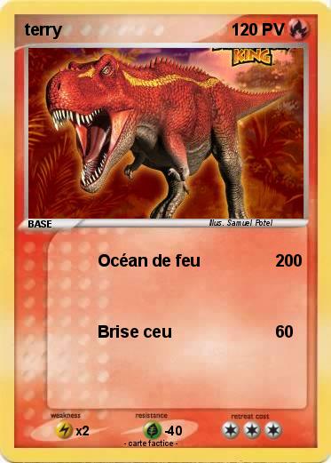 Pokemon terry